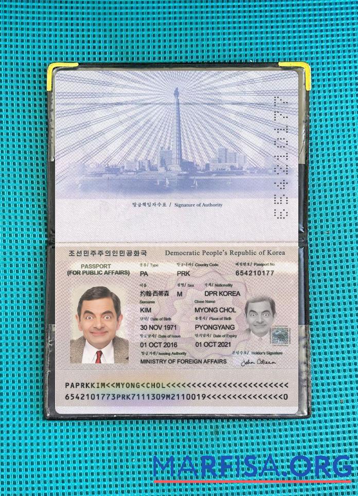 Realistic Korea passport 2016 present photolook sample